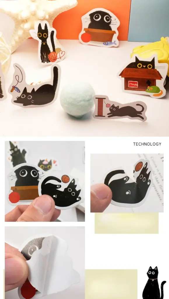 WhatsApp Image 2024-08-26 at 23.06.35.webp