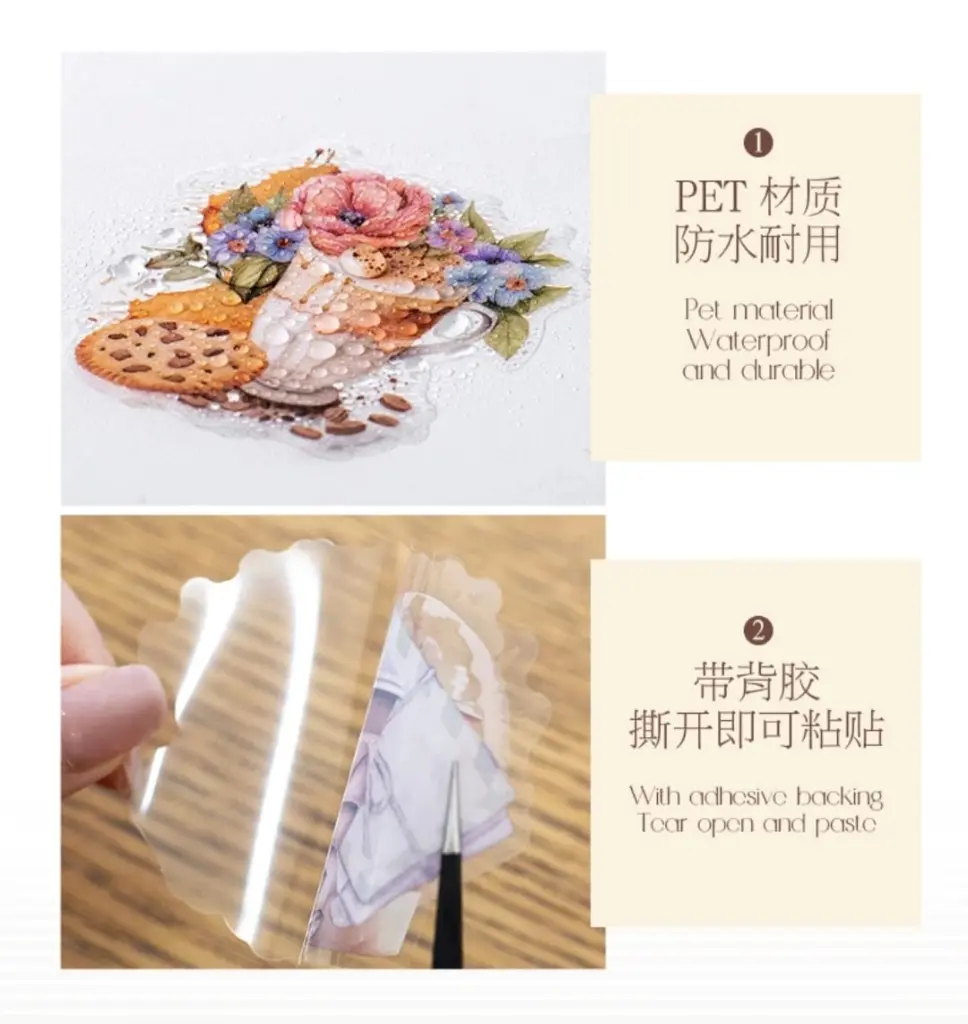 WhatsApp Image 2024-08-27 at 15.31.05 (2).webp