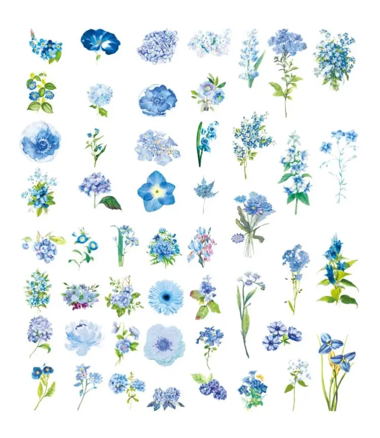 WhatsApp Image 2024-08-27 at 17.10.17.webp