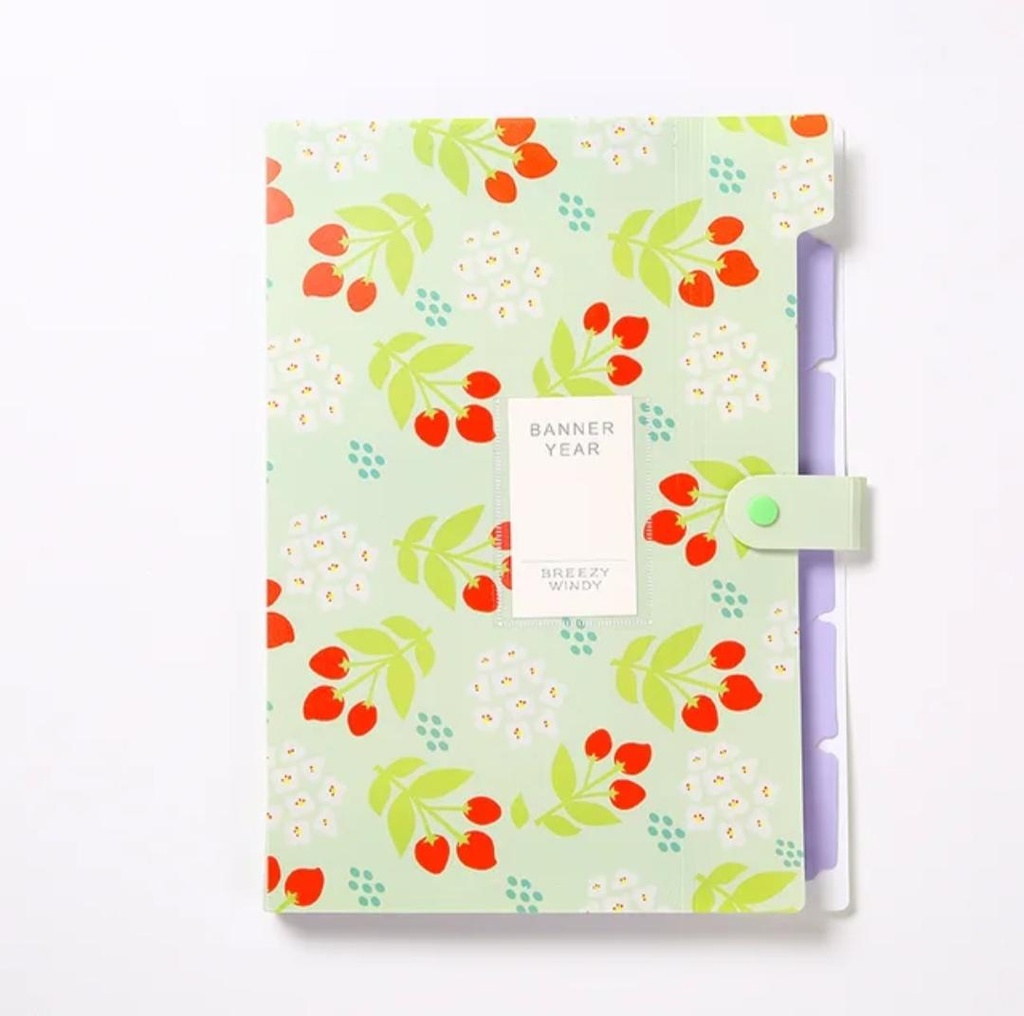 Kawaii Folder de documente Cireasa